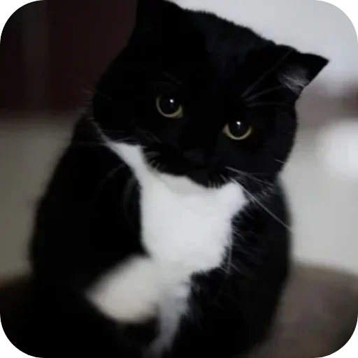 Sticker unico_by_MoiStikiBot - 1