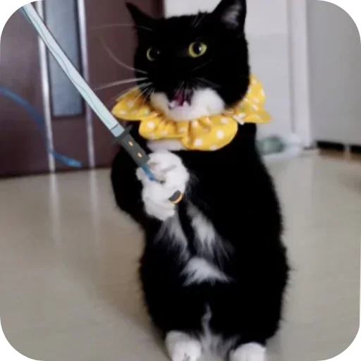 Sticker unico_by_MoiStikiBot - 1