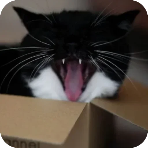 Sticker unico_by_MoiStikiBot - 1