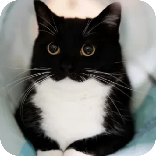 Sticker unico_by_MoiStikiBot - 1