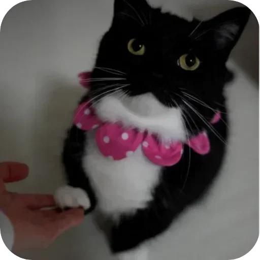 Sticker unico_by_MoiStikiBot - 1