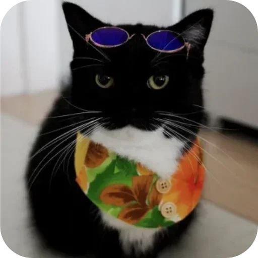 Sticker unico_by_MoiStikiBot - 1