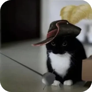 Sticker 😸unico😸@FemboyBroterhood - 7