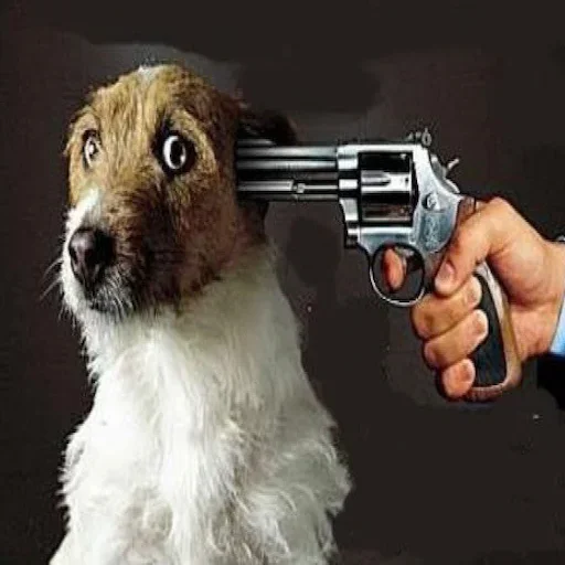 Стикер userpack4105_by_StickerDreamBot - 1