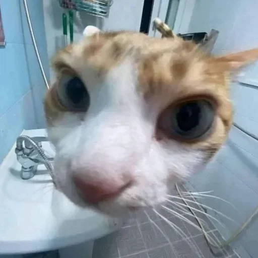 Стикер userpack4105_by_StickerDreamBot - 1