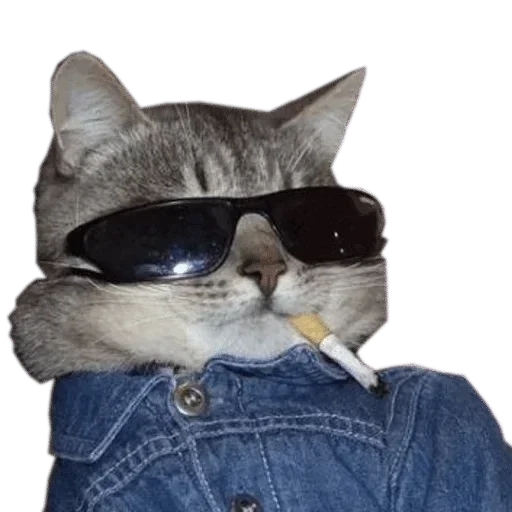 Sticker userpack436_by_romashkin1bot - 1