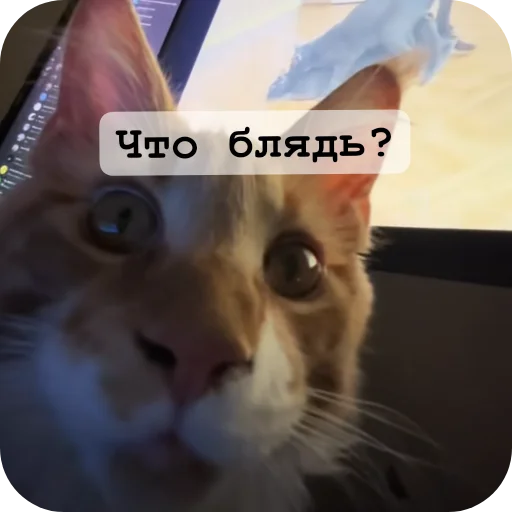 Sticker userpack436_by_romashkin1bot - 1