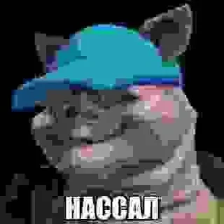 Sticker пч2 @StickersRusbot - 11