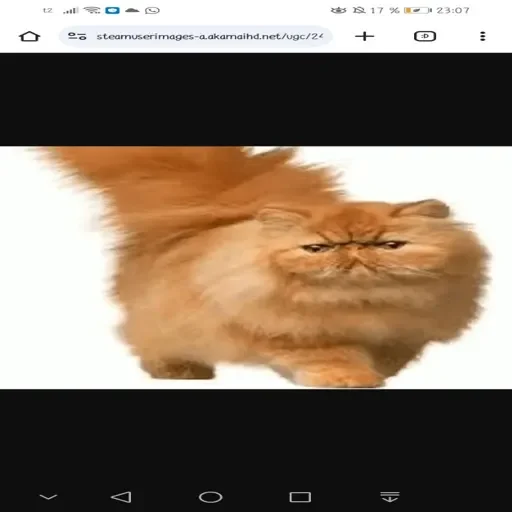 Хз by @EmojiRy_Bot - 