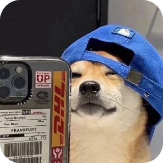 Sticker УБАМАШИНА by @Stikeryrubot - 3