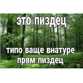 Стикер екалемене - 8