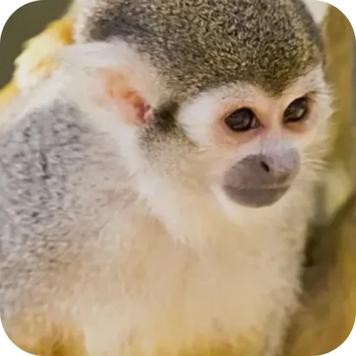 Больше стиков тут: @stikery4 - 