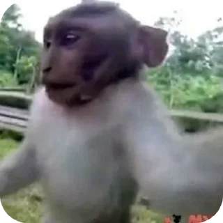 Стикер Больше стиков тут: @stikery4 - 7