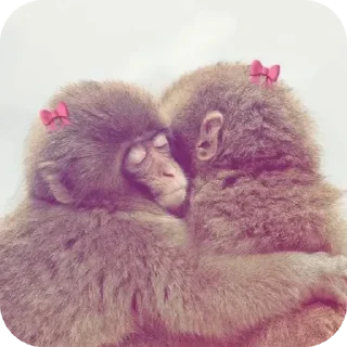 Стикер Больше стиков тут: @stikery4 - 1