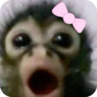 Стикер Больше стиков тут: @stikery4 - 6