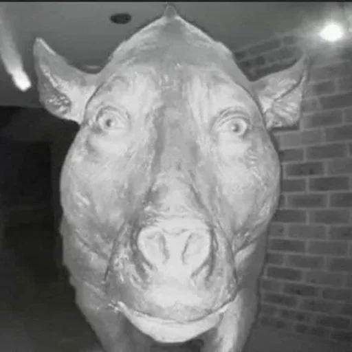 Sticker vasche_khz_by_MoiStikiBot - 1