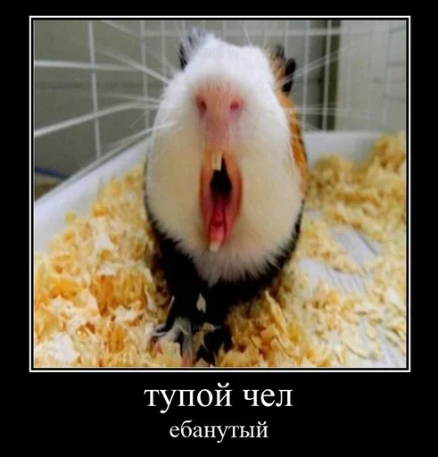 Sticker vasche_khz_by_MoiStikiBot - 1