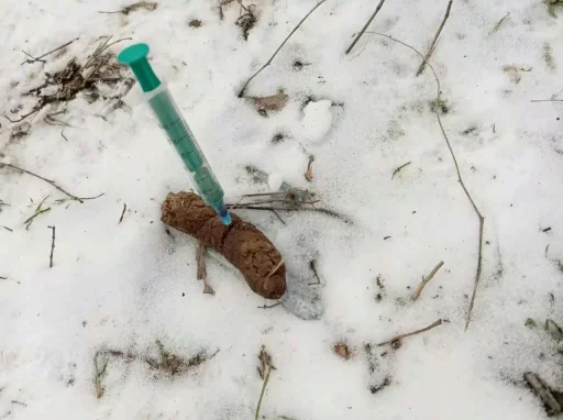 Стикер vasche_khz_by_MoiStikiBot - 1