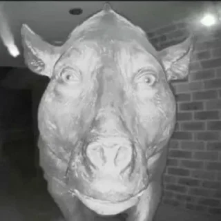 Стикер Ваще хз @MoiStikiBot - 6