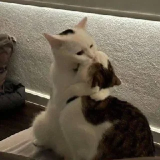 Sticker висти @TgEmodziBot - 5