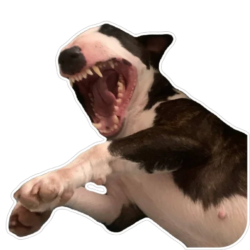 Sticker vidjakova - 1