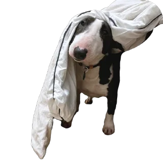 Стикер vidjakova - 6