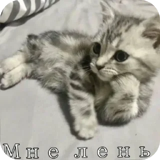 Sticker всё будет хорошо @TgEmodziBot - 6