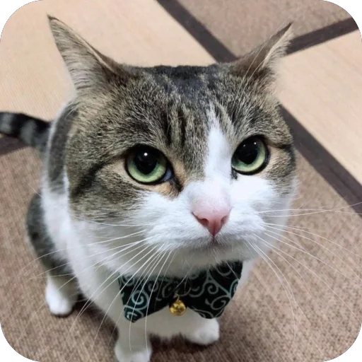 @war_korrespondent - 