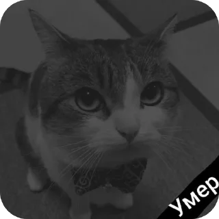 Sticker @war_korrespondent - 8