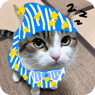 Sticker @war_korrespondent - 2