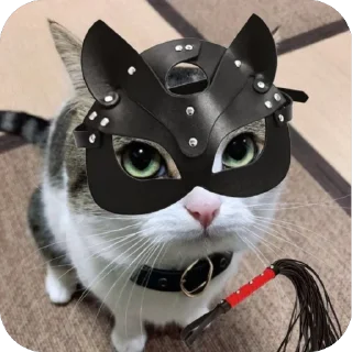 Sticker @war_korrespondent - 3