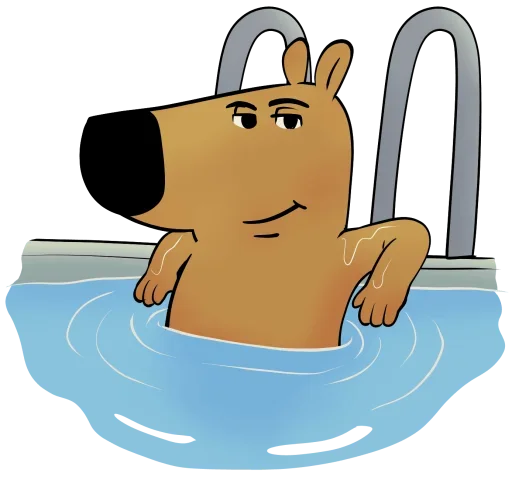 Стикер xhhbSRYnUikZOH_by_stickers_stealer_bot - 1