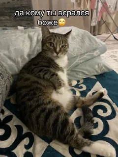 Sticker артемлох @TgEmodziBot - 8