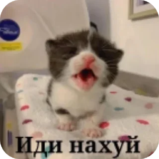 Стикер Больше стиков тут: @stikery4 - 8