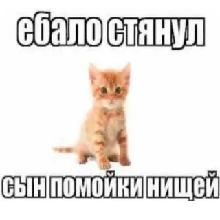 Стикер Больше стиков тут: @stikery4 - 1