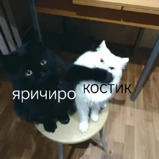 Sticker стики дайсуке - 4