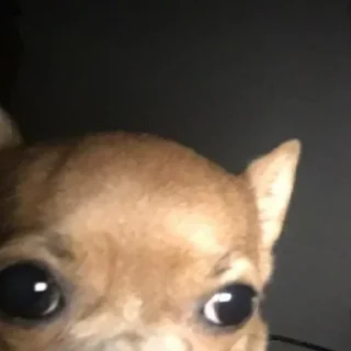 Стикер yeah - 10