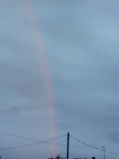 Sticker Юльчик¿? Чо @TgEmodziBot - 6