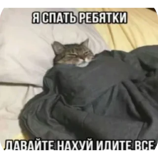 Sticker жопики @TgEmodziBot - 2