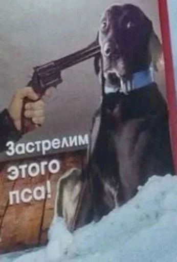 Стикер zkikery_by_MoiStikiBot - 1