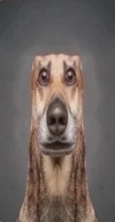 Стикер zкикеры @MoiStikiBot - 5