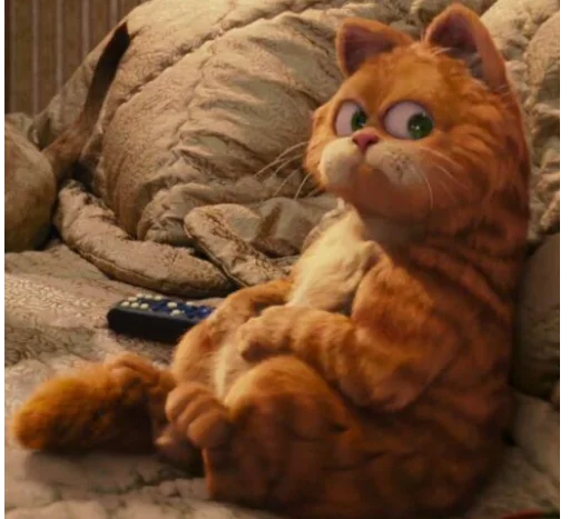 animal small to medium-sized cats felidae