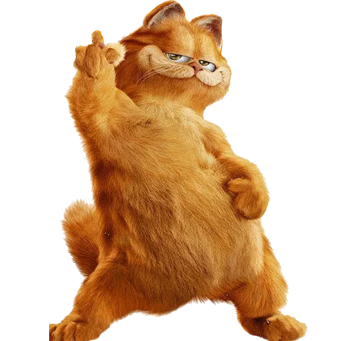 domestic cat small to medium-sized cats cat