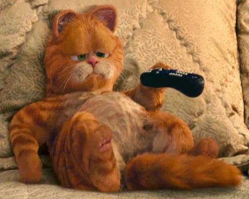 animal laying indoor