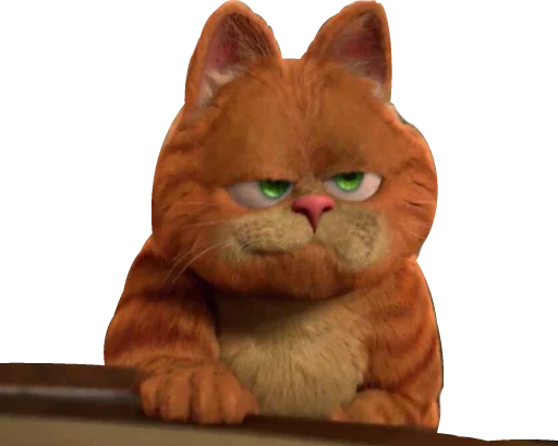 domestic cat cat animal