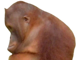 Стикер Больше стикеров 👉🏻 @Emoji_19 - 4