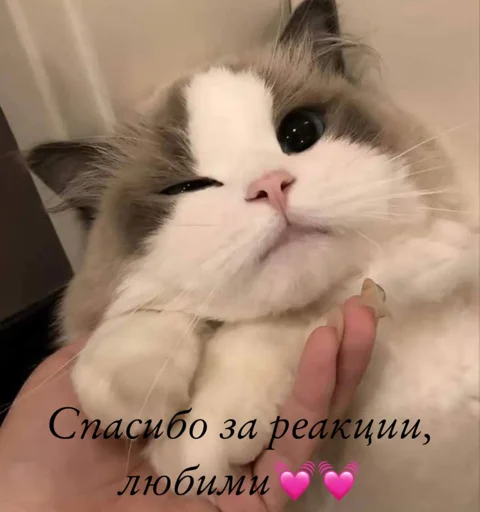 Создать стикеры|@EmojiRuBot - 