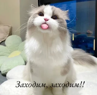 Sticker Создать стикеры|@EmojiRuBot - 5