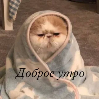 Sticker Создать стикеры|@EmojiRuBot - 7