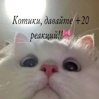Sticker Создать стикеры|@EmojiRuBot - 4